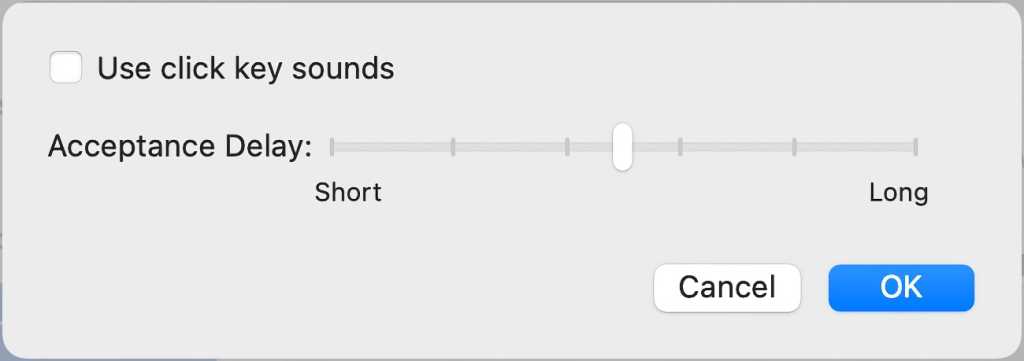 macOS Big Sur Slow Keys options