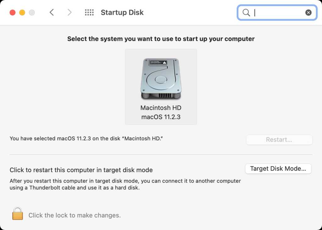 macOS Big Sur startup disk