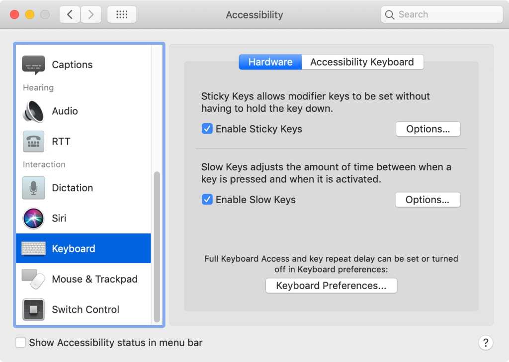 macOS Big Sur Sticky Keys Slow Keys system preferences