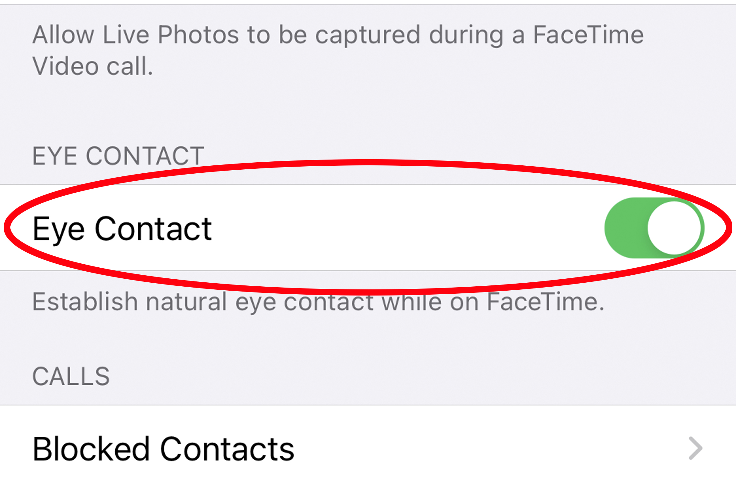 Hidden Features Of IOS 14 Macworld   Facetime Eye Contact 