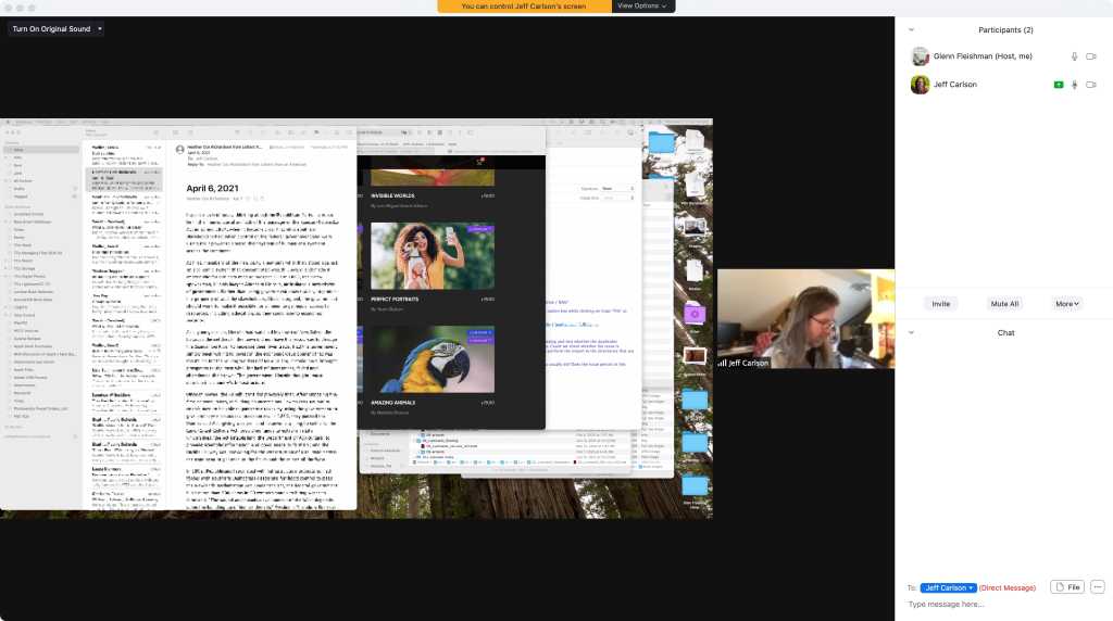 Mac Zoom remote screen
