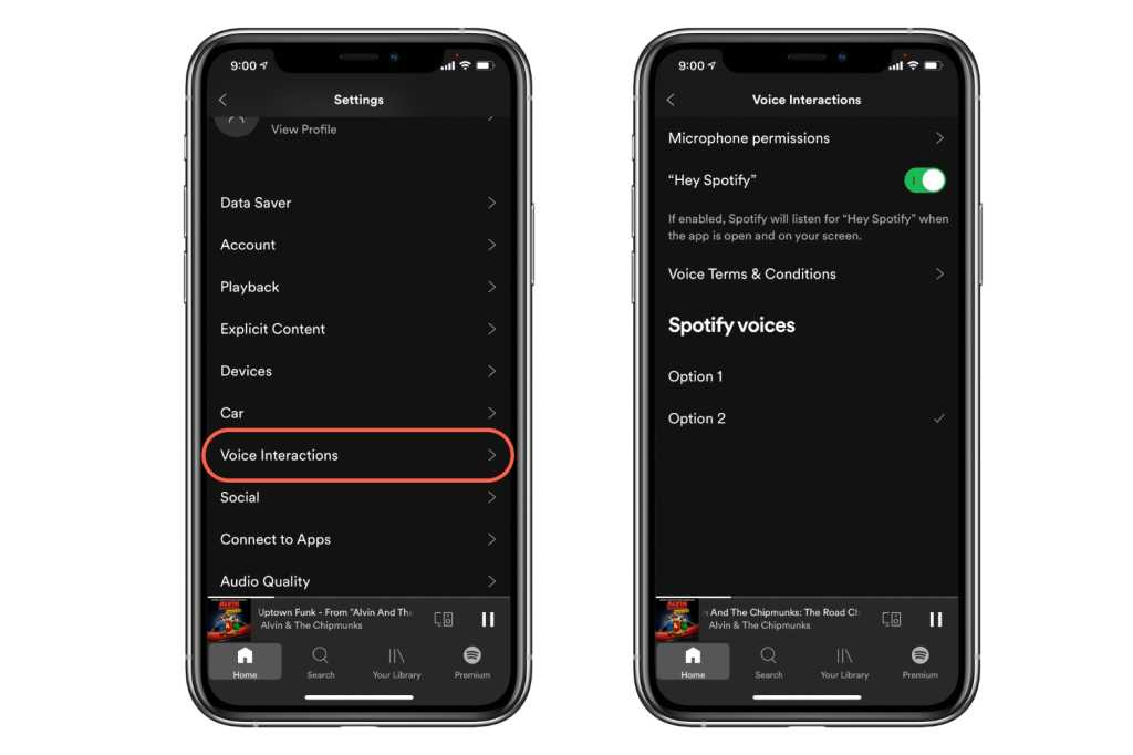 Spotify Voice Interactions settings