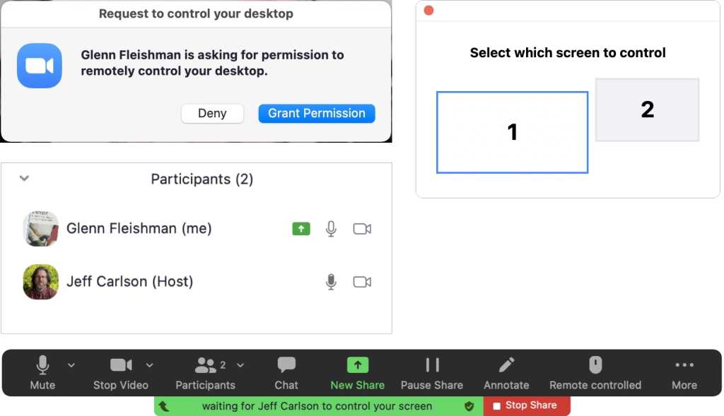 Mac Zoom control screens