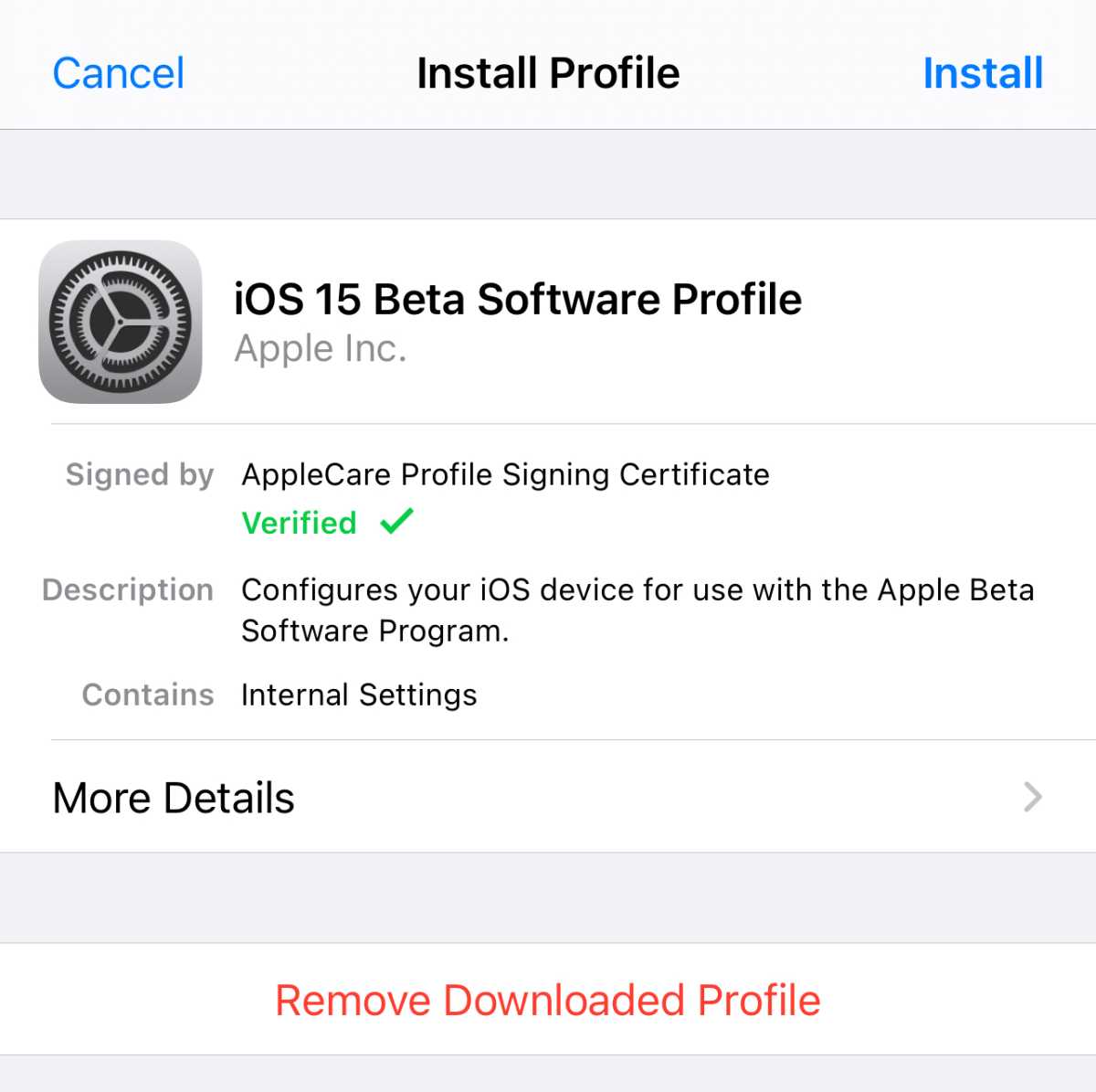 iOS 15 beta profile