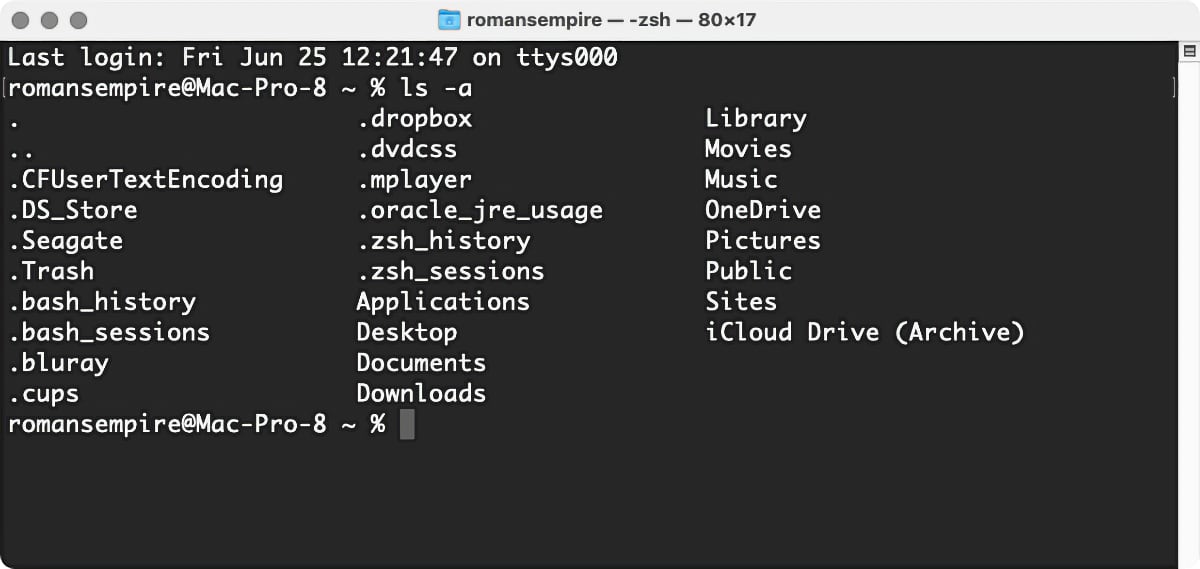 macOS big sur terminal ls-a