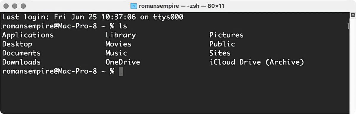 macOS Big Sur Terminal ls