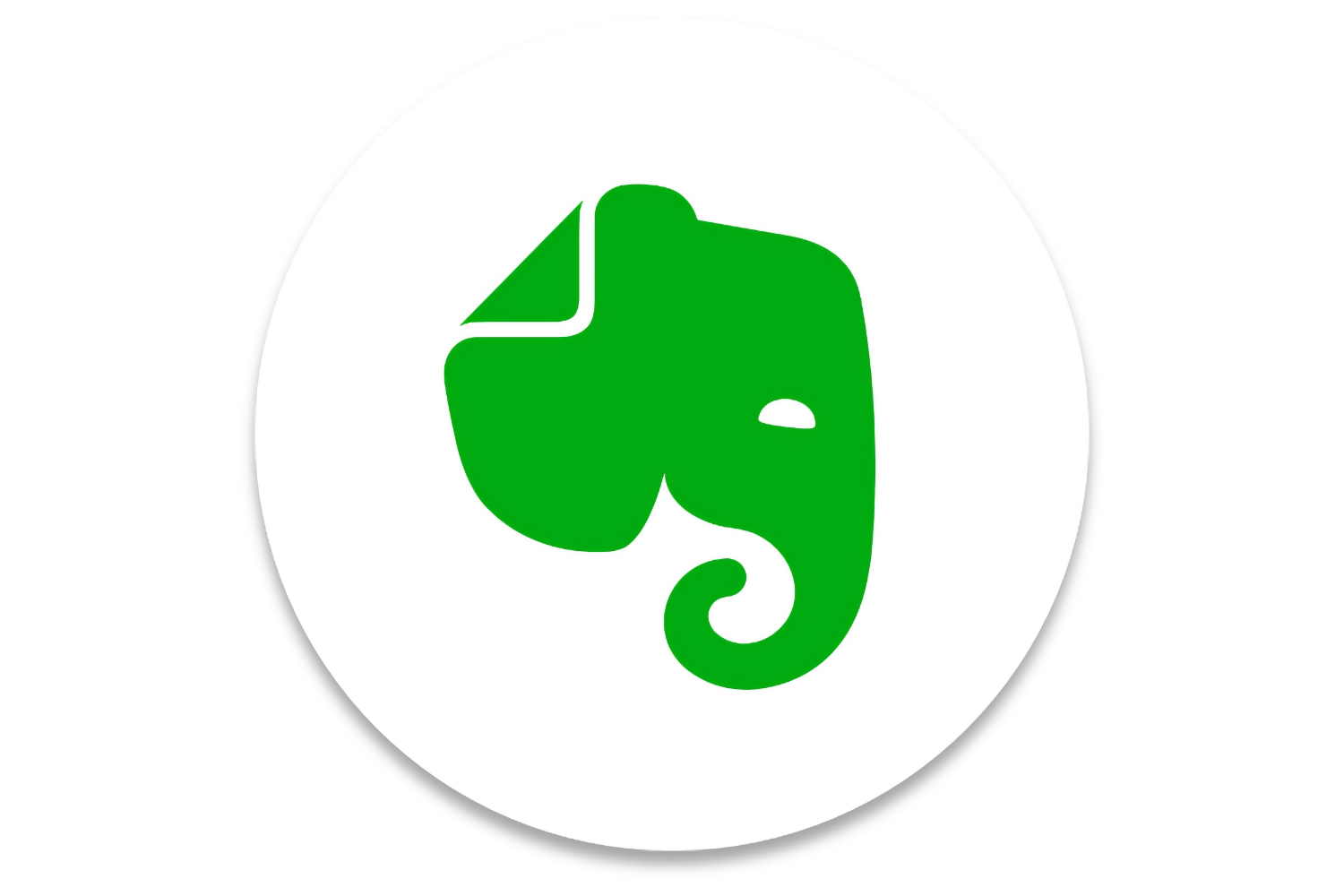 Evernote