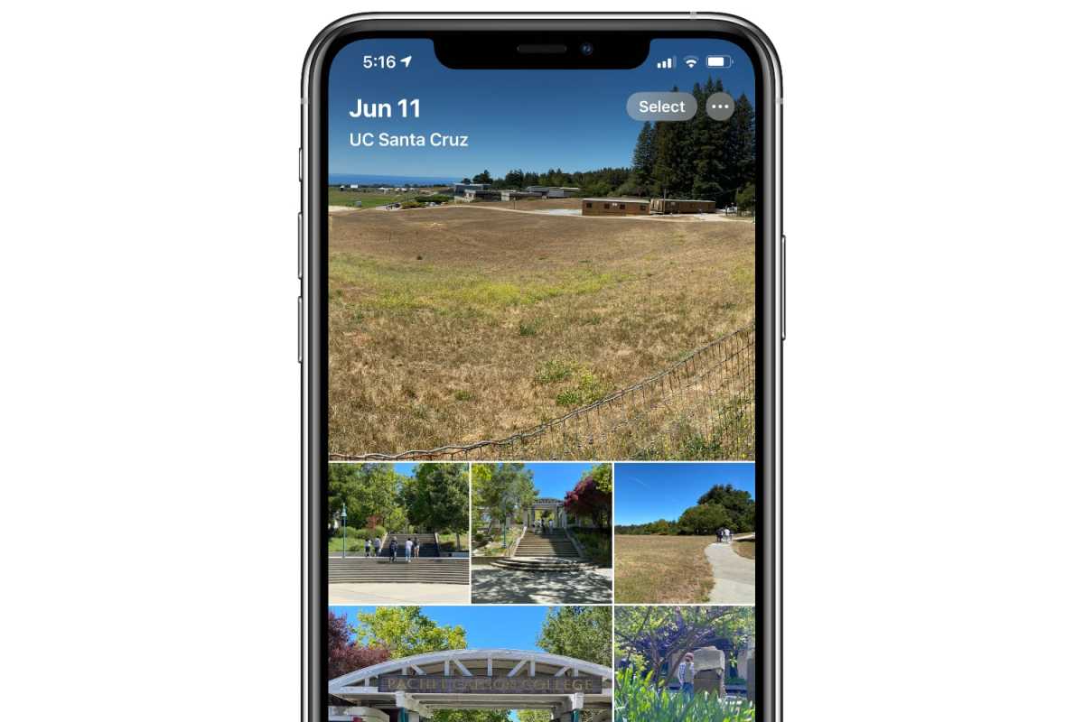 iOS 14 photo album iPhone