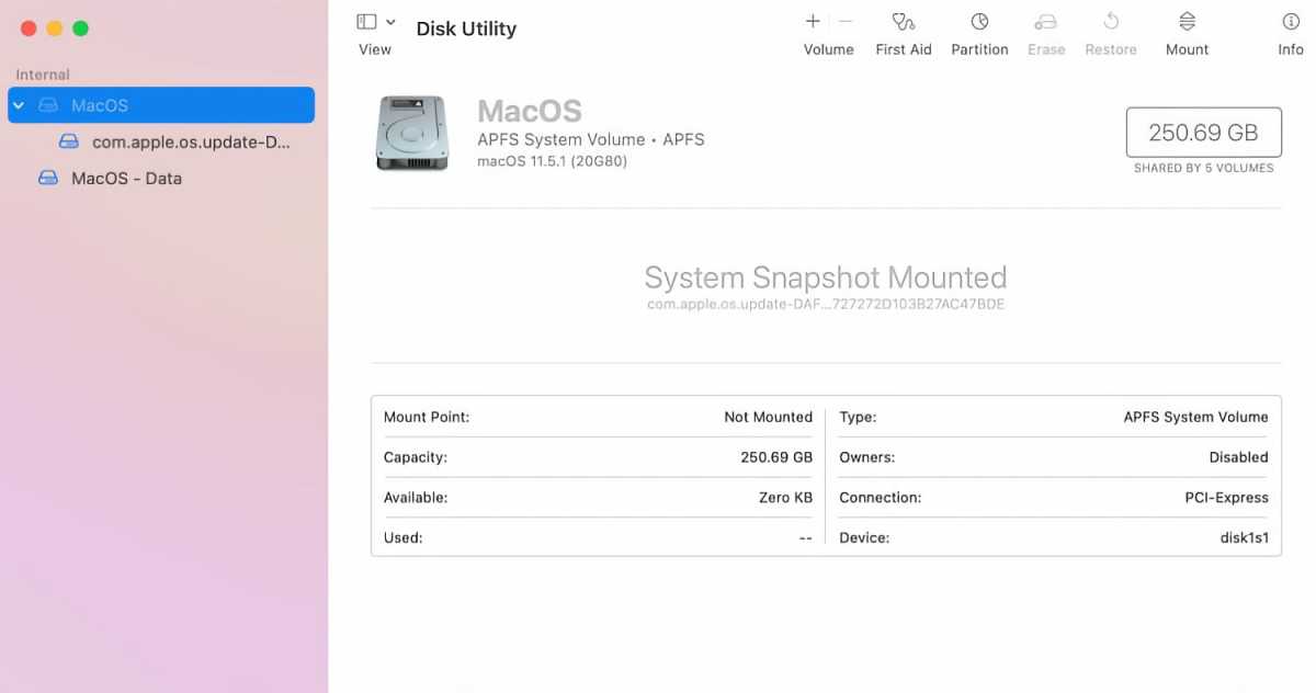 macOS Big Sur Disk Utility