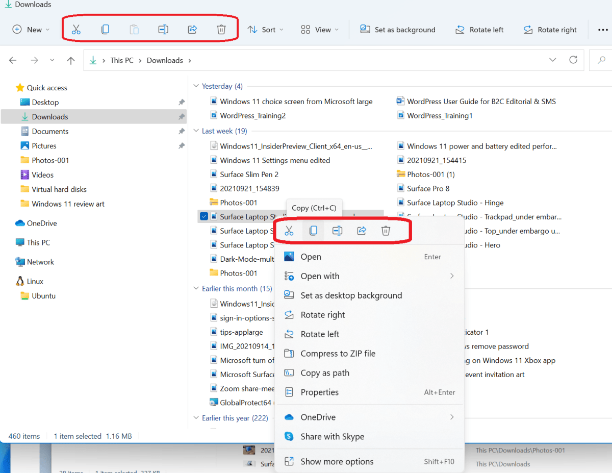 Windows 11 File Explorer icons