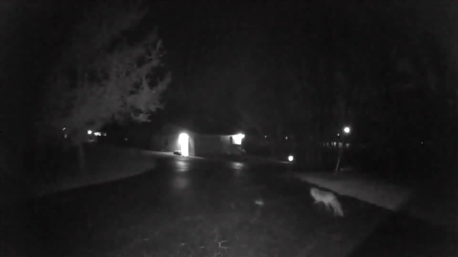 video doorbell with night vision