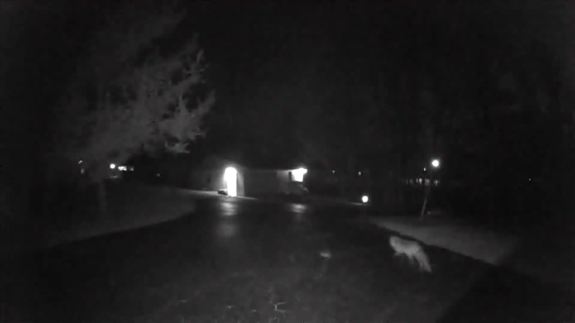 Blink Video Doorbell night vision