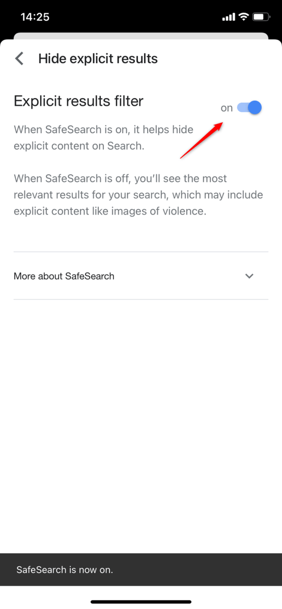 Smartsearch Browsing Filter