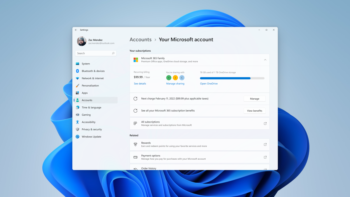 Windows 11 Settings account dashboard