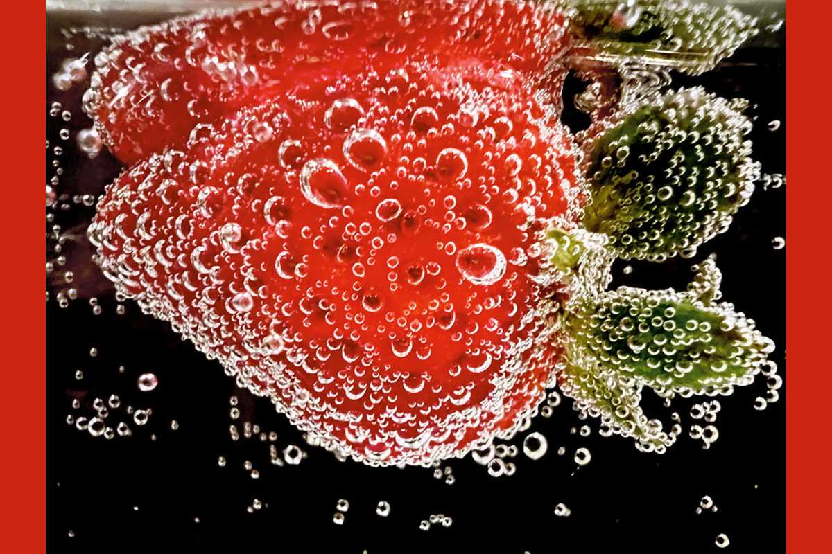 Foceno na iPhone Macro Challenge