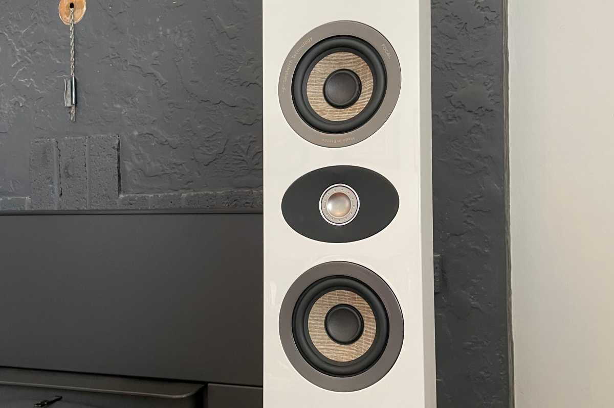 Focal 301 driver closeup