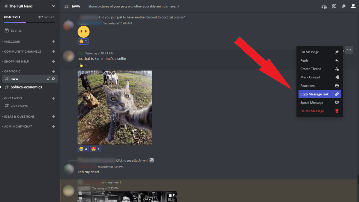 Discord Copy Message Link option in desktop app