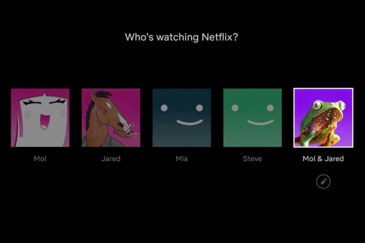 Netflix joint profile