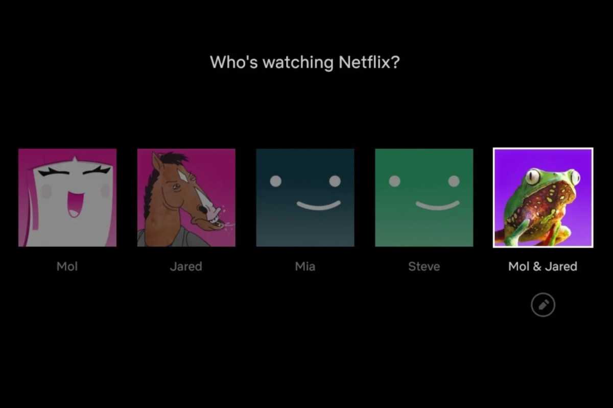 Netflix joint profile