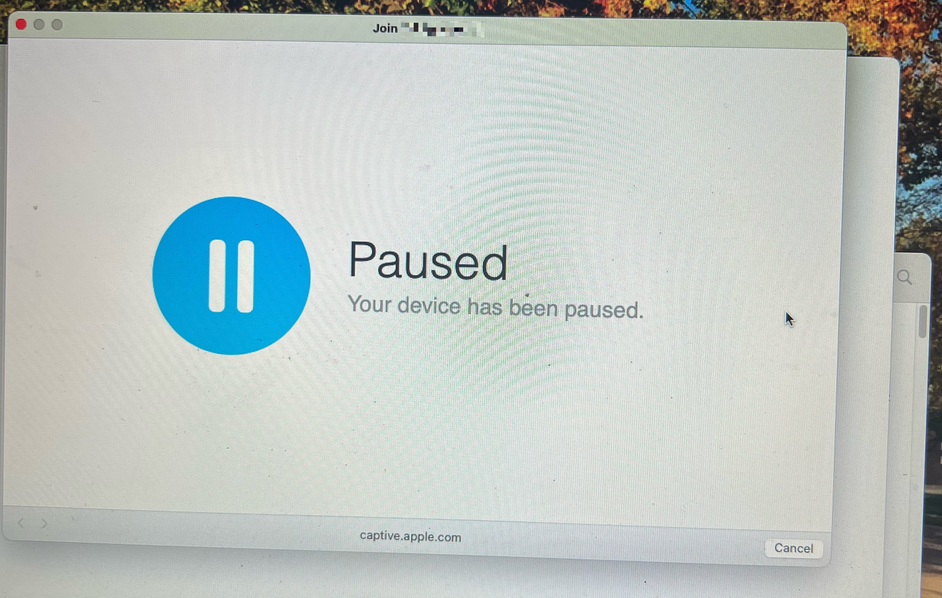 Как переводится download paused because wifi is disabled