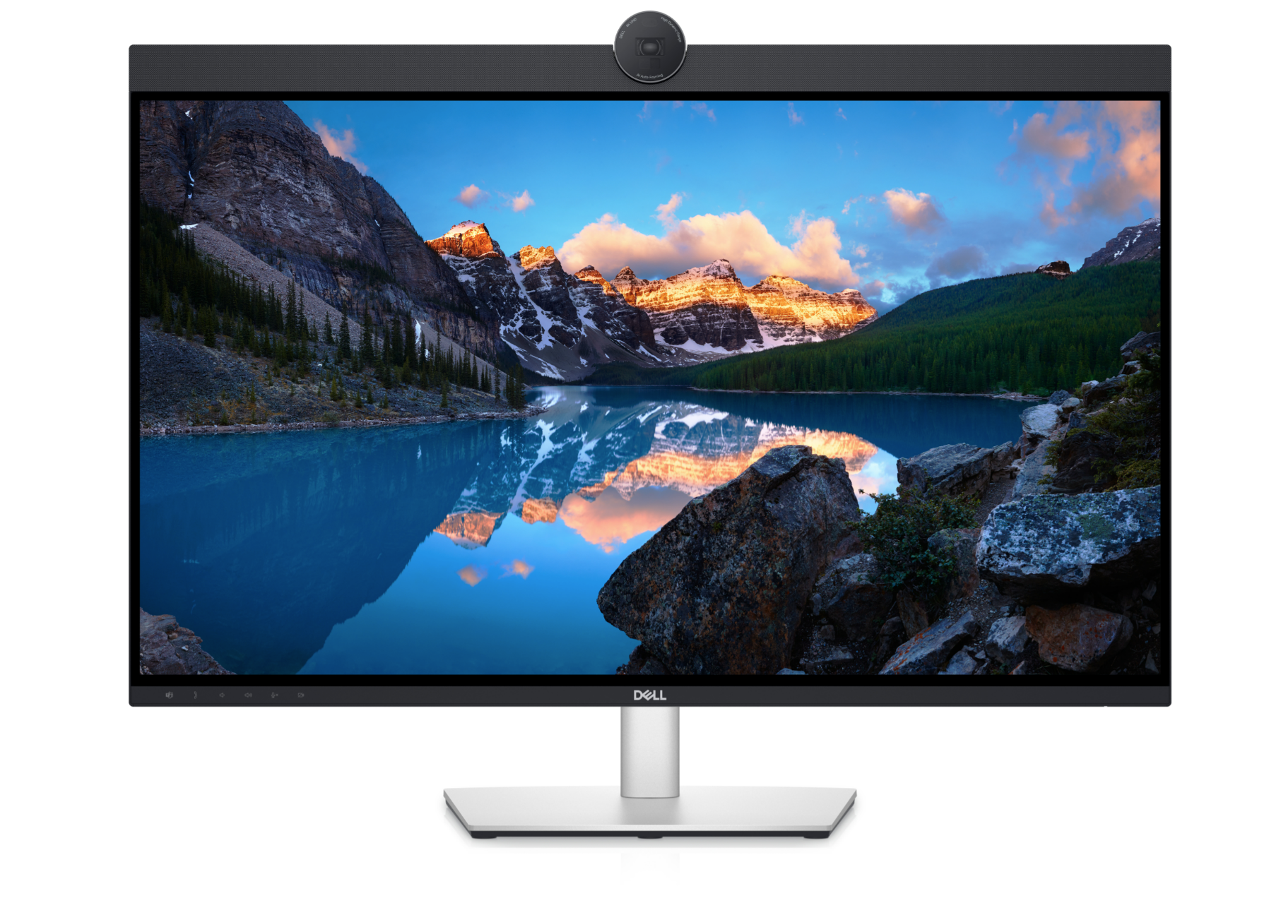 dell video monitor