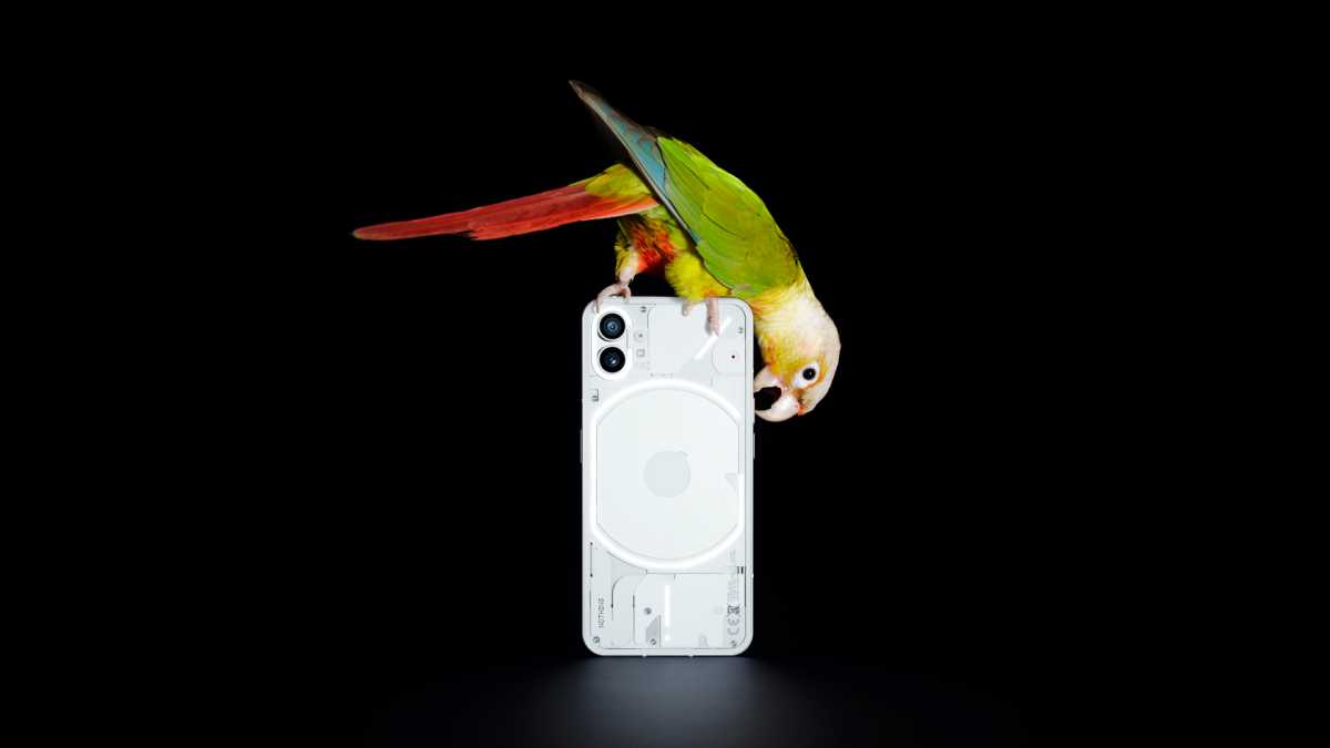 Nothing Phone (1) with a parrot on top