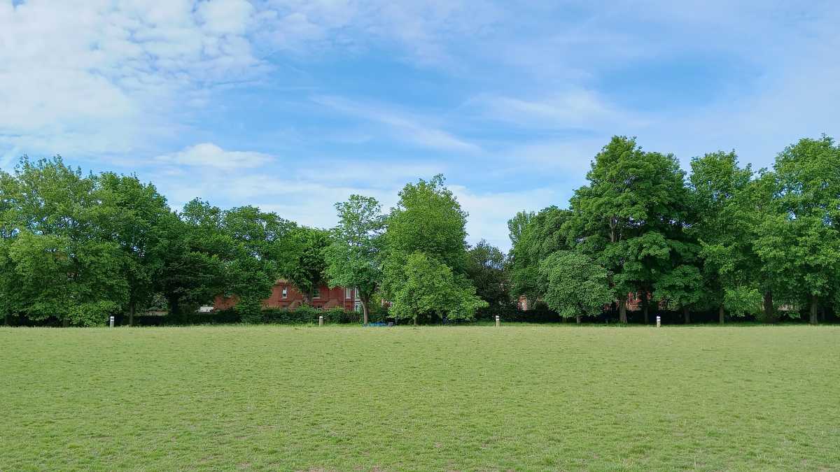 A landscape of a park
