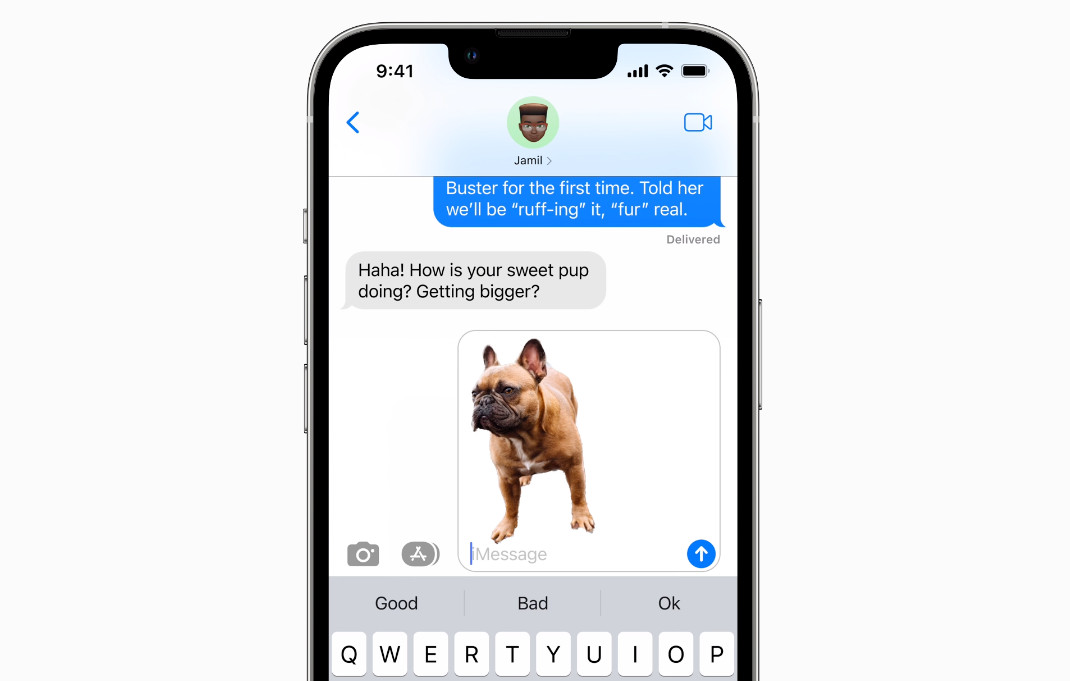 Visual Look Up in iOS 16: Drag image into Messages