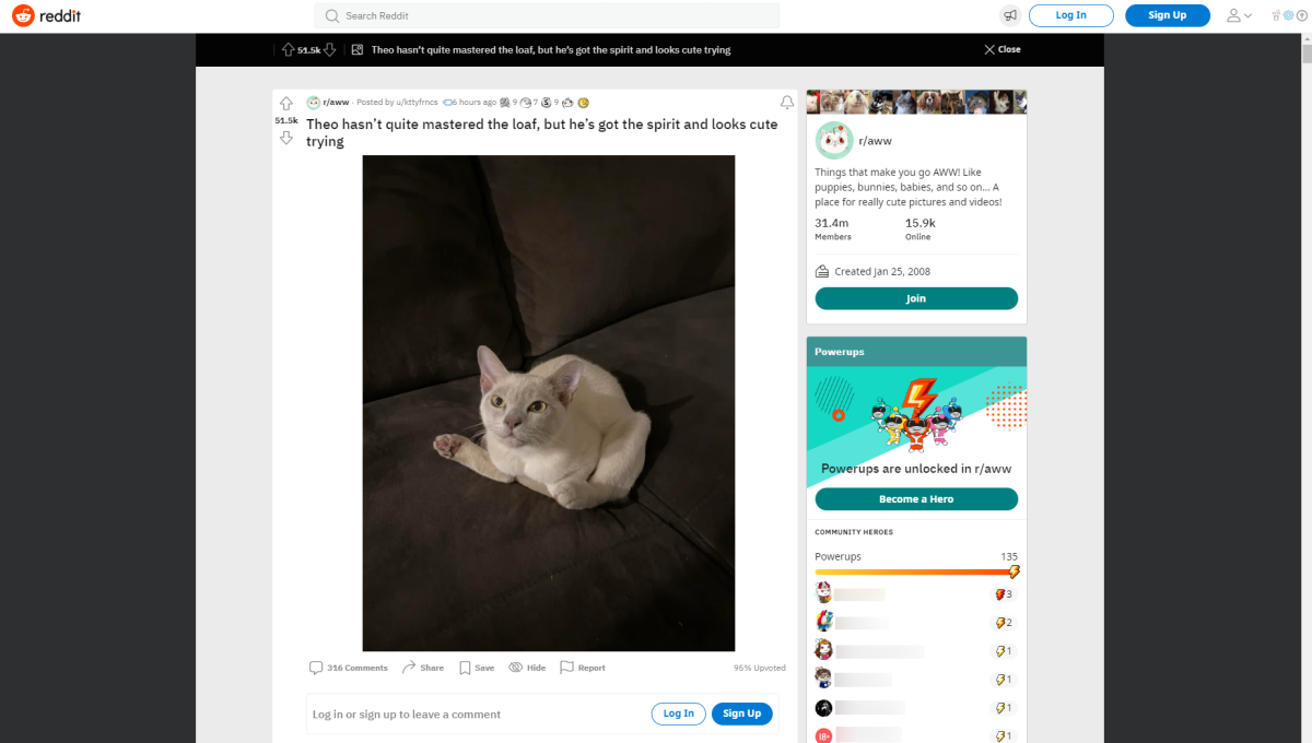 Captura de tela de uma postagem no subreddit r/aww no Reddit.com