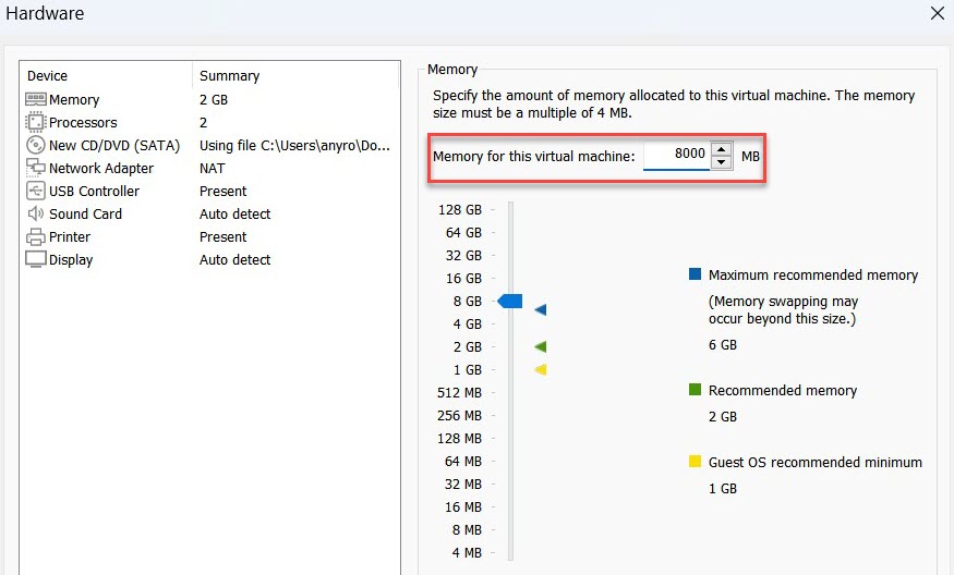 VMware hardware memory