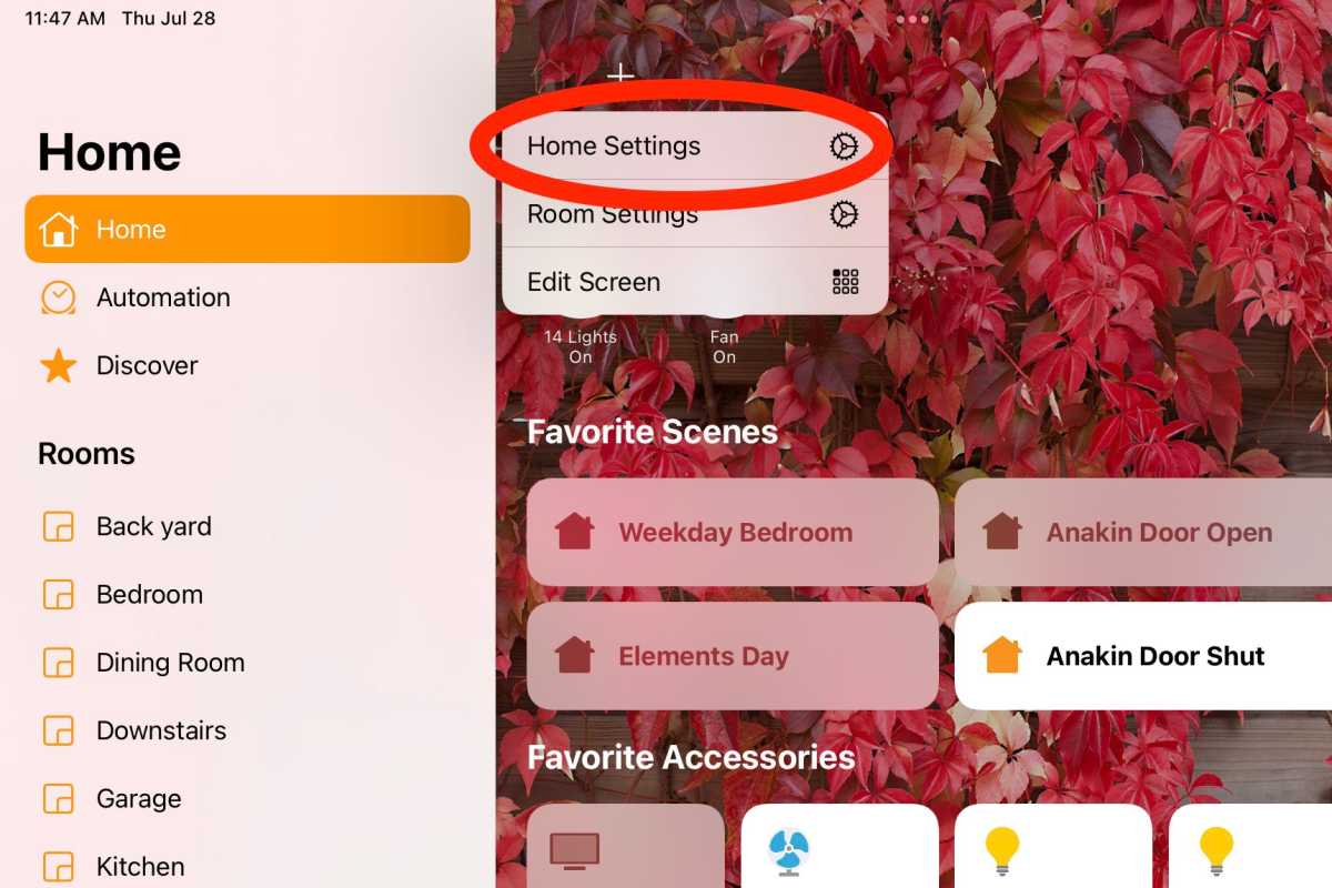 Apple Home settings