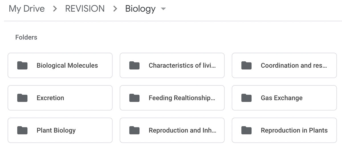 Revision Flashcards Google Drive Topic Folders