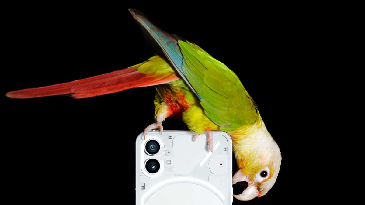 Nothing Phone (1) camera with parrot