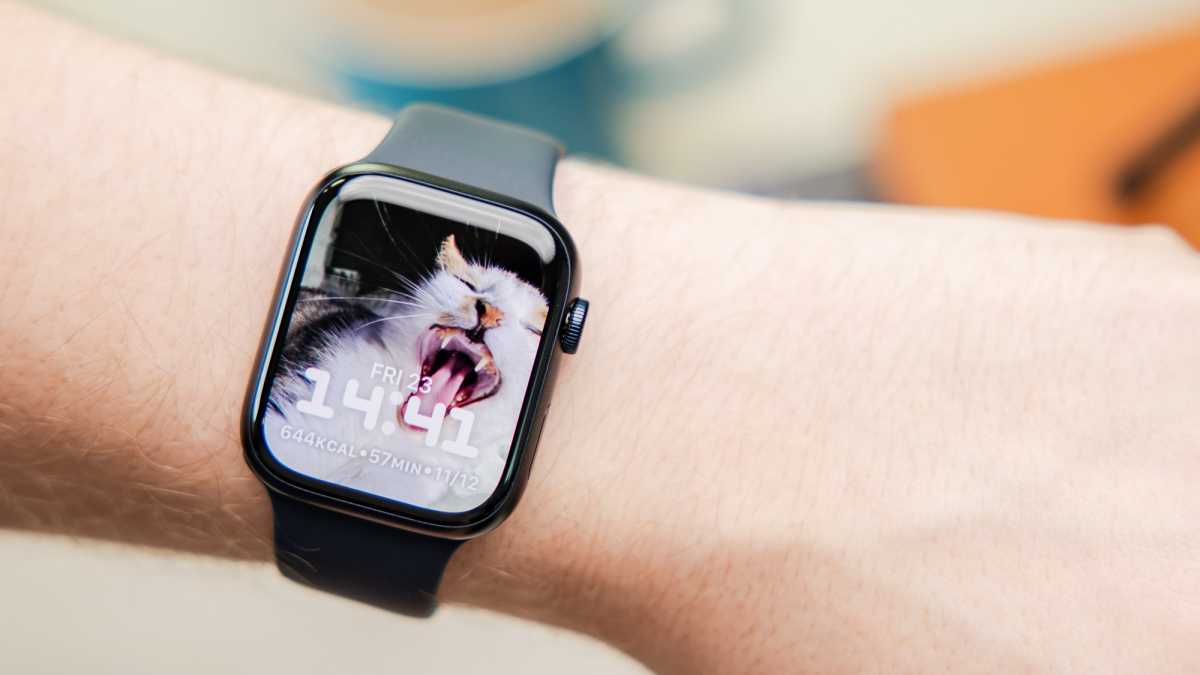 Apple Watch Series 8 custom