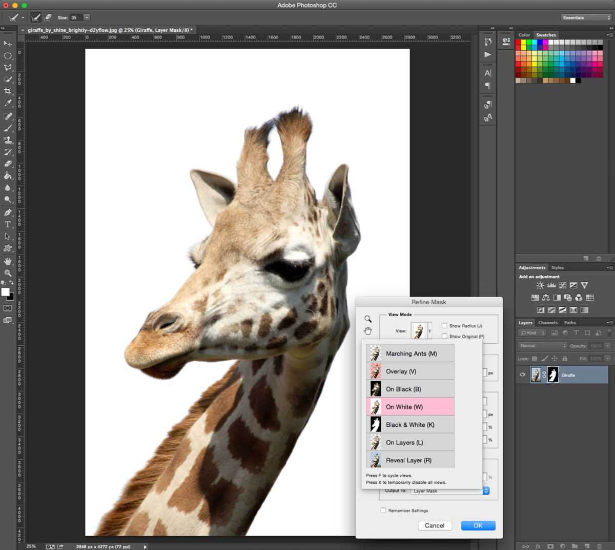 How to remove background in Photoshop - step 10