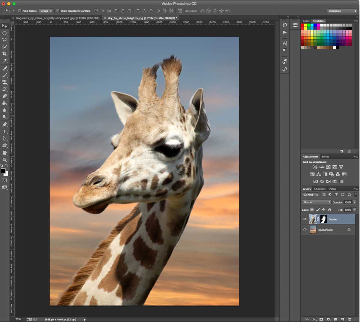 How to remove background in Photoshop - step 12