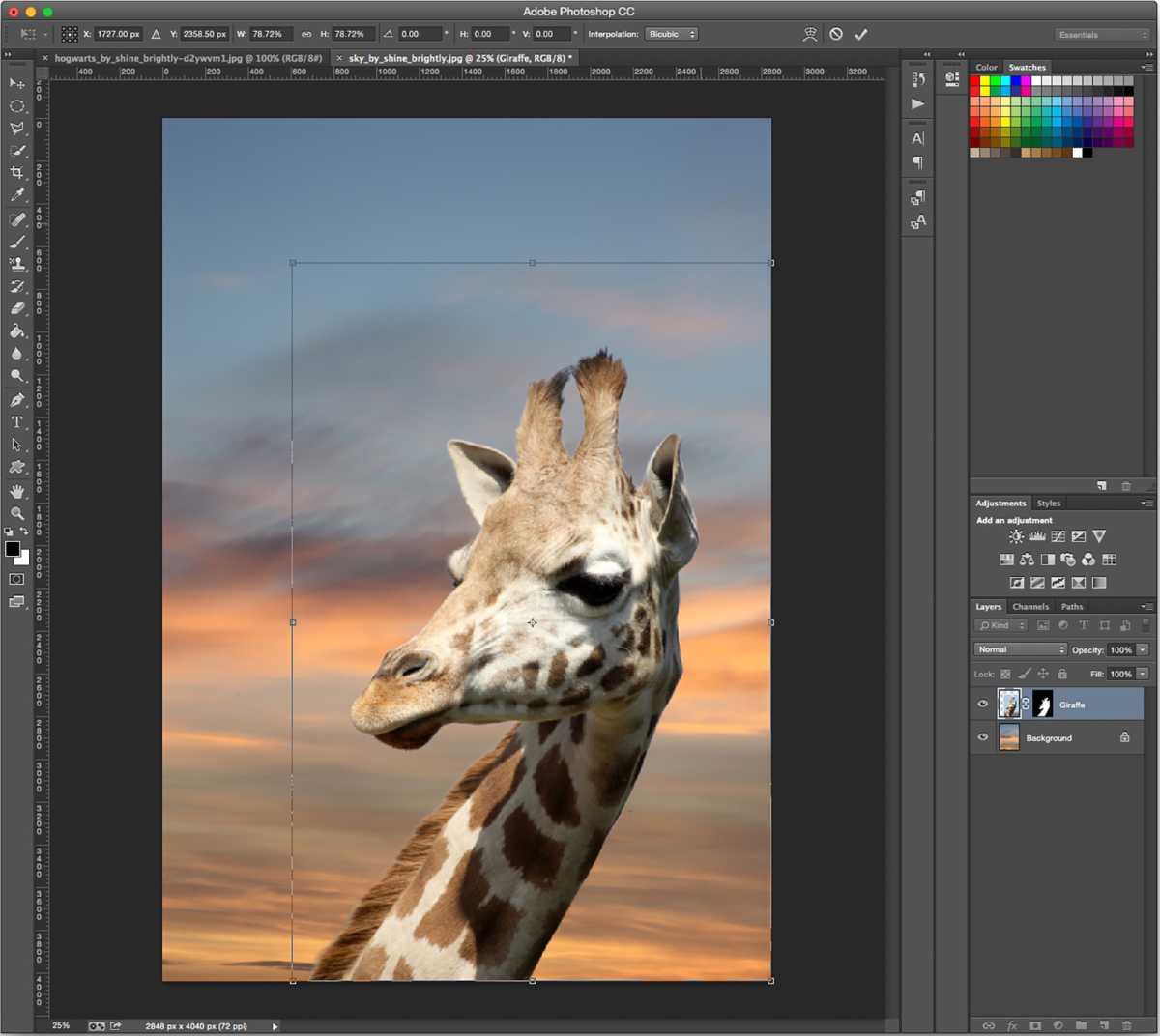 How to remove background in Photoshop - step 13