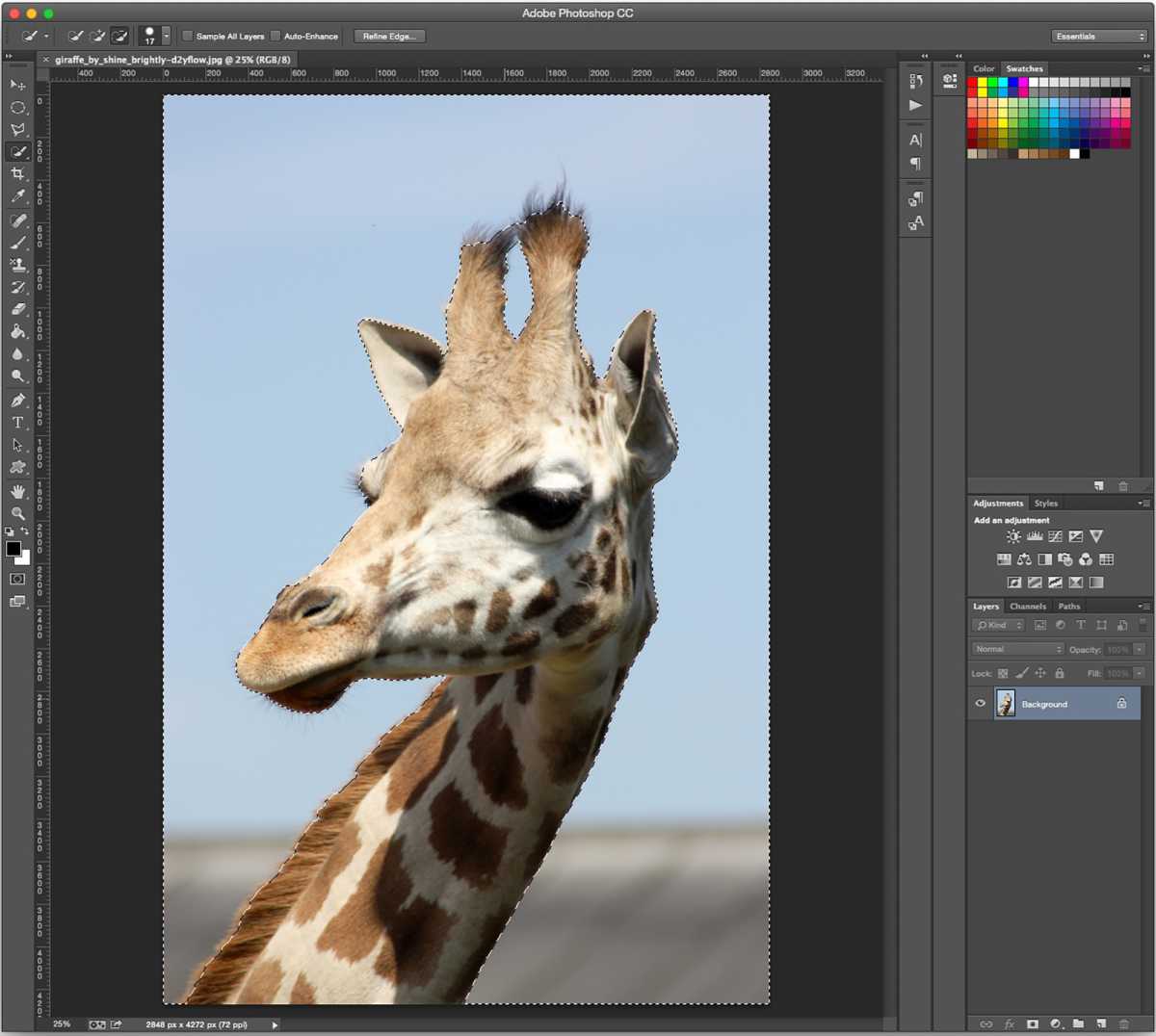 How to remove background in Photoshop - step 2