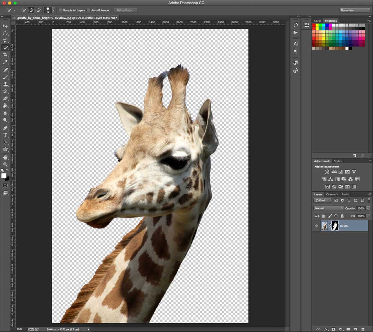 How to remove background in Photoshop - step 6