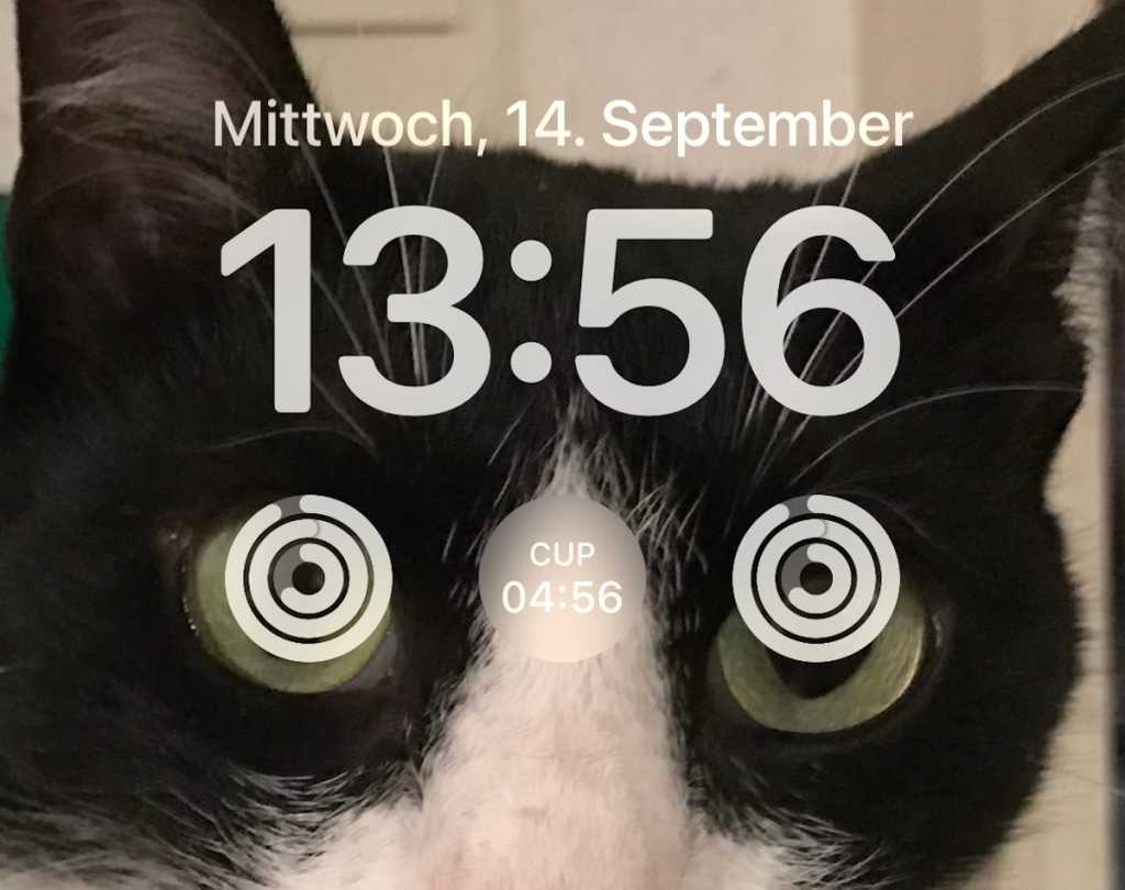 Image: Sperrbildschirm unter iOS 16, die besten Widgets