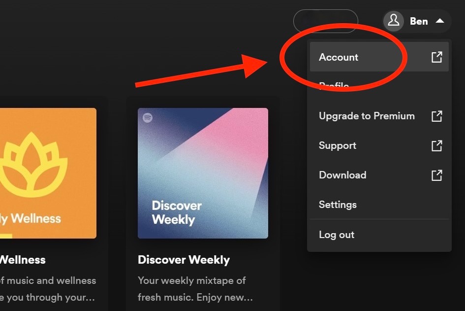 Spotify account option