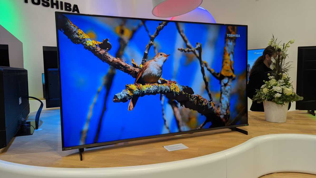 Toshiba QA5D 65in showing a bird in a tree