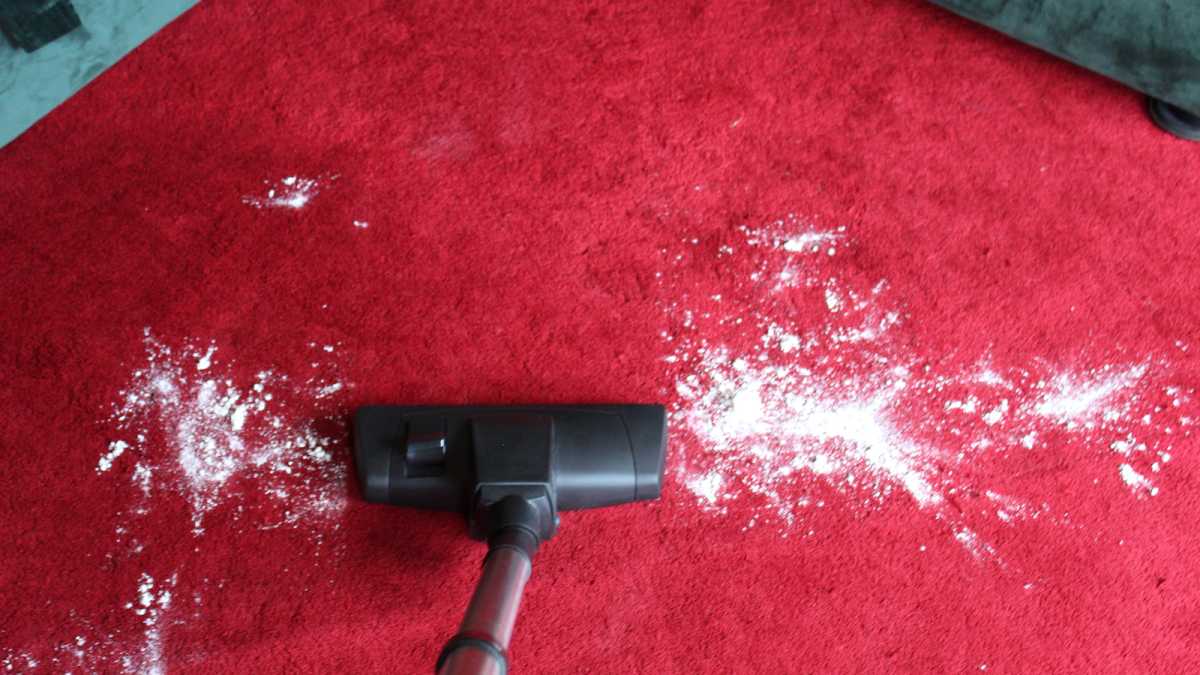 Henry vacuuming up flour on a red carpet