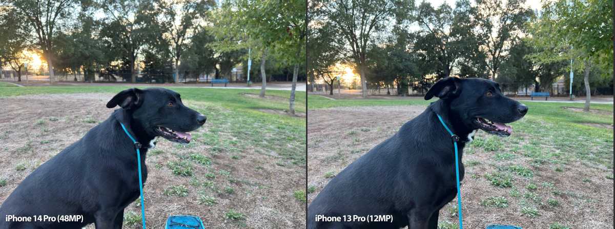 iPhone 14 Pro Camera Review: A Small Step, A Huge Leap