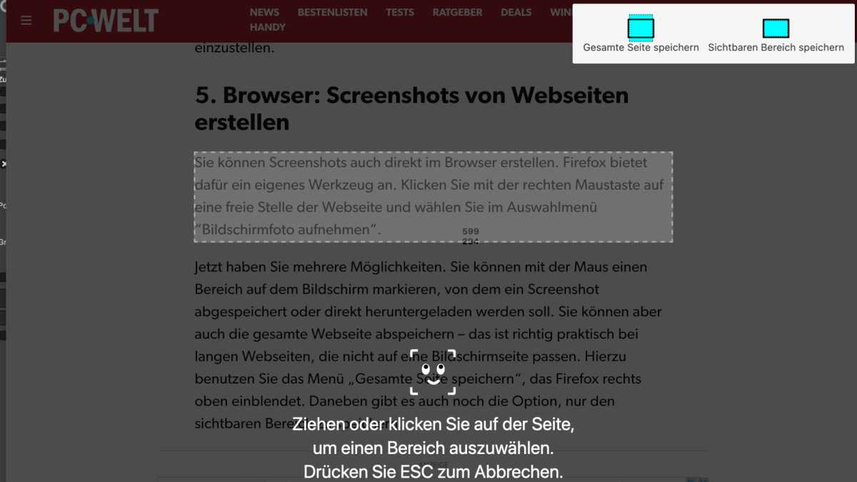 Firefox Screenshot Tool