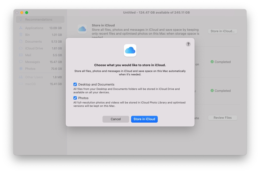 Store in iCloud options