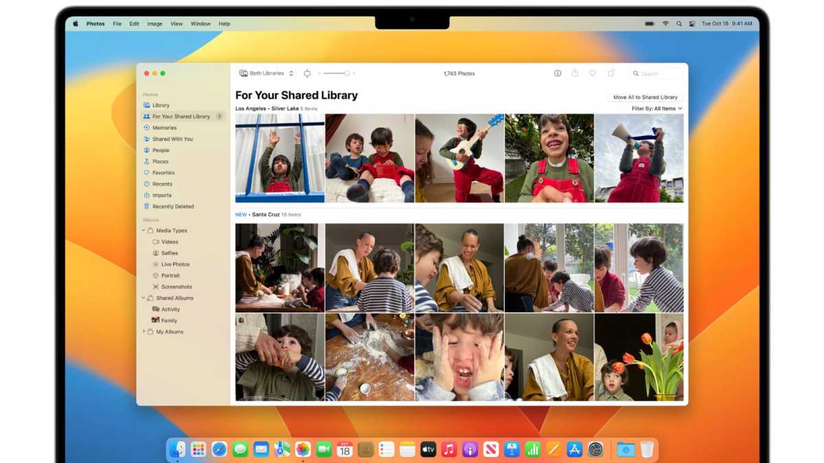 iCloud Photo Sharing Library