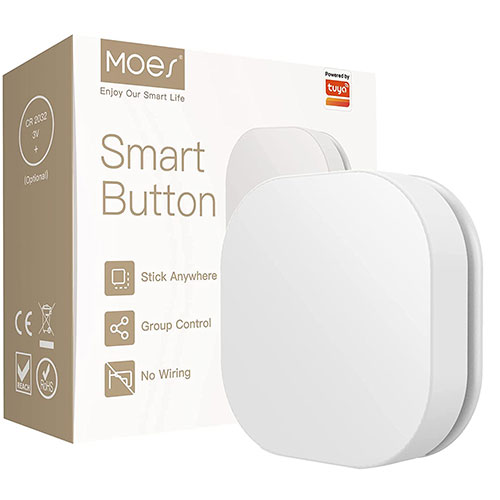 Moes Smart Button