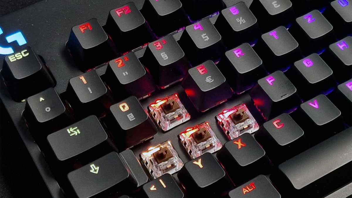 Switches: Logitech GX Brown