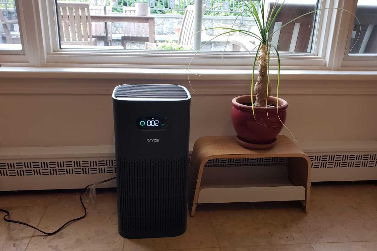 Purificateur d'air Wyze assis à côté d'une plante